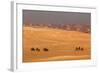 Egypt, Cairo, Giza, Evening Light, Camels and Horses-Catharina Lux-Framed Photographic Print