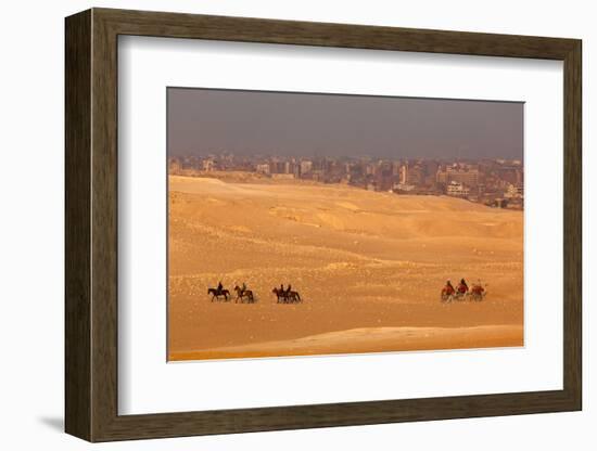Egypt, Cairo, Giza, Evening Light, Camels and Horses-Catharina Lux-Framed Photographic Print