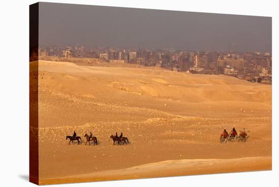 Egypt, Cairo, Giza, Evening Light, Camels and Horses-Catharina Lux-Stretched Canvas