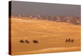 Egypt, Cairo, Giza, Evening Light, Camels and Horses-Catharina Lux-Stretched Canvas