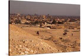 Egypt, Cairo, Giza, Evening Light-Catharina Lux-Stretched Canvas