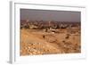 Egypt, Cairo, Giza, Evening Light-Catharina Lux-Framed Photographic Print