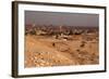 Egypt, Cairo, Giza, Evening Light-Catharina Lux-Framed Photographic Print