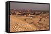 Egypt, Cairo, Giza, Evening Light-Catharina Lux-Framed Stretched Canvas