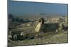 Egypt, Cairo, Giza, Great Sphinx-null-Mounted Giclee Print