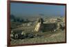 Egypt, Cairo, Giza, Great Sphinx-null-Framed Giclee Print