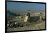 Egypt, Cairo, Giza, Great Sphinx-null-Framed Giclee Print