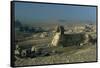 Egypt, Cairo, Giza, Great Sphinx-null-Framed Stretched Canvas