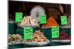 Egypt, Cairo, Islamic Old Town, Shop, Spices-Catharina Lux-Mounted Photographic Print