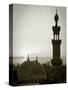 Egypt, Cairo, Islamic Quarter, Silhouette of Minarets and Mosques-Michele Falzone-Stretched Canvas