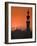 Egypt, Cairo, Islamic Quarter, Silhouette of Minarets and Mosques-Michele Falzone-Framed Photographic Print