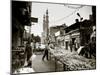 Egypt, Cairo, Islamic Quarter-Michele Falzone-Mounted Photographic Print