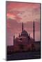 Egypt, Cairo, Landmark, Citadel with Mohamad Ali Mosque, Dusk-Catharina Lux-Mounted Photographic Print