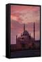 Egypt, Cairo, Landmark, Citadel with Mohamad Ali Mosque, Dusk-Catharina Lux-Framed Stretched Canvas