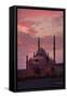 Egypt, Cairo, Landmark, Citadel with Mohamad Ali Mosque, Dusk-Catharina Lux-Framed Stretched Canvas