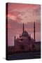Egypt, Cairo, Landmark, Citadel with Mohamad Ali Mosque, Dusk-Catharina Lux-Stretched Canvas
