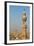 Egypt, Cairo, Minaret-Catharina Lux-Framed Photographic Print