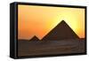 Egypt, Cairo, Pyramids of Giza, Evening Light-Catharina Lux-Framed Stretched Canvas