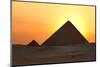 Egypt, Cairo, Pyramids of Giza, Evening Light-Catharina Lux-Mounted Photographic Print