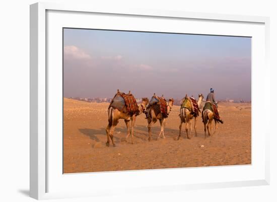 Egypt, Cairo, Pyramids of Gizeh, Cameleer-Catharina Lux-Framed Photographic Print