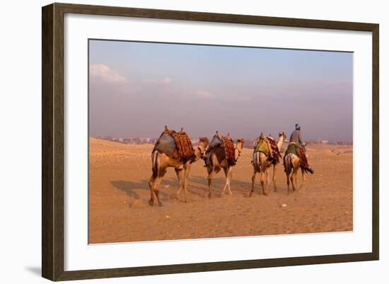 Egypt, Cairo, Pyramids of Gizeh, Cameleer-Catharina Lux-Framed Photographic Print