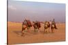 Egypt, Cairo, Pyramids of Gizeh, Cameleer-Catharina Lux-Stretched Canvas