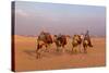 Egypt, Cairo, Pyramids of Gizeh, Cameleer-Catharina Lux-Stretched Canvas