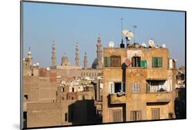 Egypt, Cairo, View from Mosque of Ibn Tulun on Old Town Facades-Catharina Lux-Mounted Photographic Print