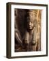 Egypt, Detail of Goddess Mut from Statuary Group Representing Pharaoh Ramesses II-null-Framed Giclee Print