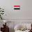 Egypt Flag Design with Wood Patterning - Flags of the World Series-Philippe Hugonnard-Mounted Premium Giclee Print displayed on a wall