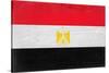 Egypt Flag Design with Wood Patterning - Flags of the World Series-Philippe Hugonnard-Stretched Canvas