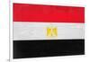 Egypt Flag Design with Wood Patterning - Flags of the World Series-Philippe Hugonnard-Framed Art Print