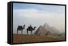 Egypt, Giza, Camel Ride and Giza Pyramid-Claudia Adams-Framed Stretched Canvas