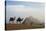 Egypt, Giza, Camel Ride and Giza Pyramid-Claudia Adams-Stretched Canvas