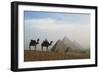 Egypt, Giza, Camel Ride and Giza Pyramid-Claudia Adams-Framed Photographic Print