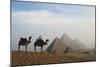 Egypt, Giza, Camel Ride and Giza Pyramid-Claudia Adams-Mounted Photographic Print