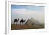 Egypt, Giza, Camel Ride and Giza Pyramid-Claudia Adams-Framed Photographic Print