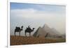 Egypt, Giza, Camel Ride and Giza Pyramid-Claudia Adams-Framed Photographic Print