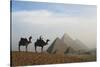 Egypt, Giza, Camel Ride and Giza Pyramid-Claudia Adams-Stretched Canvas