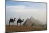 Egypt, Giza, Camel Ride and Giza Pyramid-Claudia Adams-Mounted Photographic Print