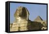 Egypt, Giza Governorate, Giza, Khafre's Pyramid and Sphinx-null-Framed Stretched Canvas