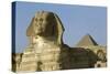 Egypt, Giza Governorate, Giza, Khafre's Pyramid and Sphinx-null-Stretched Canvas