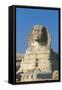 Egypt, Giza, Great Sphinx-null-Framed Stretched Canvas