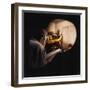 Egypt, Howard Carter Enters Burial Chamber at Tutankhamens Tomb-null-Framed Giclee Print