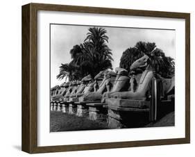 Egypt Karnak-Pontin Brown-Framed Photographic Print