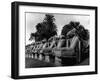 Egypt Karnak-Pontin Brown-Framed Photographic Print