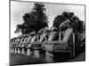 Egypt Karnak-Pontin Brown-Mounted Photographic Print