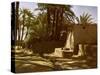 Egypt -Karnak-English Photographer-Stretched Canvas