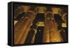 Egypt, Luxor Egypt, Column of Amenophis Iii at Luxor Temple-Claudia Adams-Framed Stretched Canvas