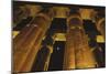 Egypt, Luxor Egypt, Column of Amenophis Iii at Luxor Temple-Claudia Adams-Mounted Photographic Print